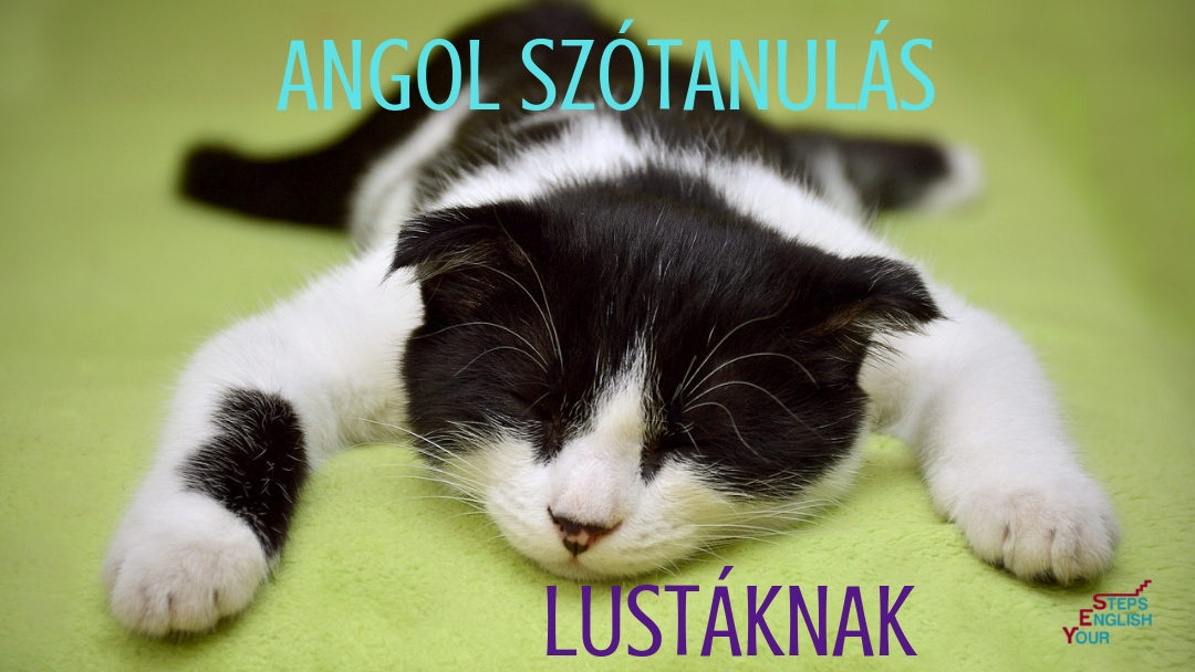 Angol szótanulás lustáknak