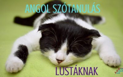 Angol szótanulás lustáknak
